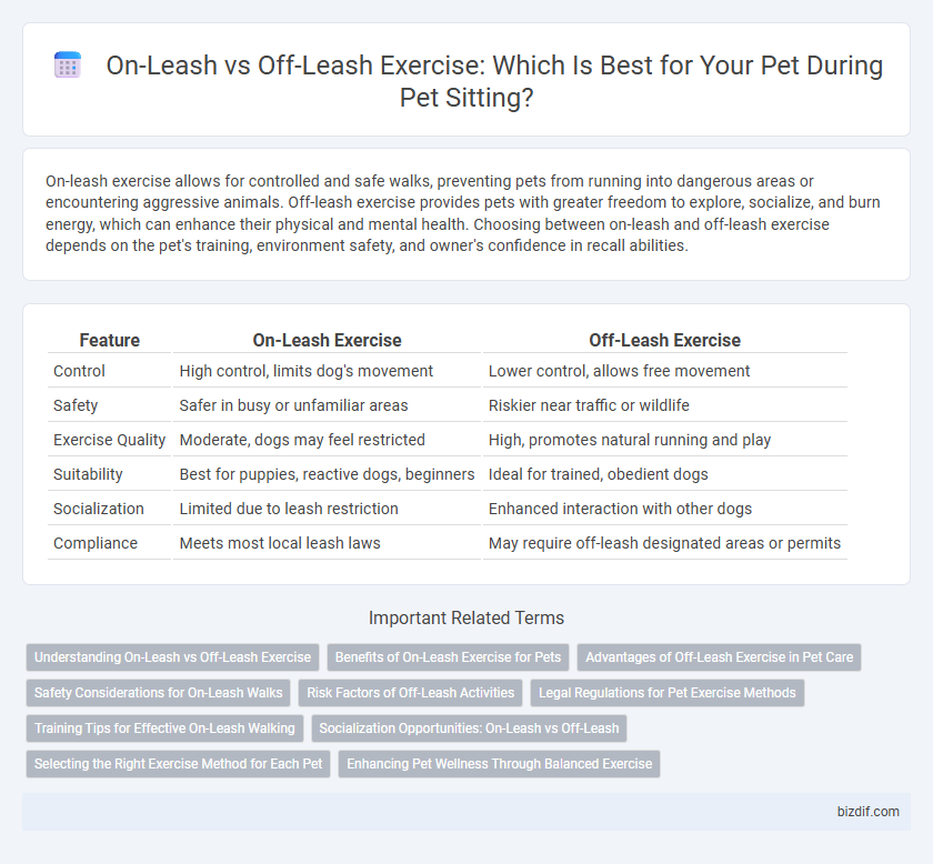On-Leash vs Off-Leash Exercise: Which Is Best for Your Pet During Pet Sitting?