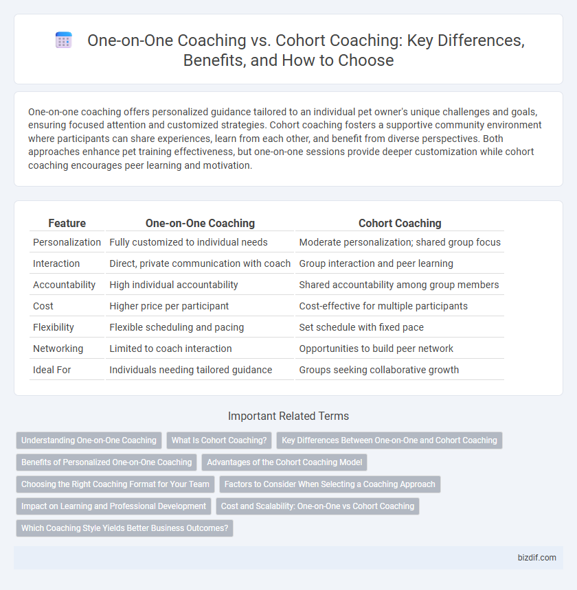 One-on-One Coaching vs. Cohort Coaching: Key Differences, Benefits, and How to Choose