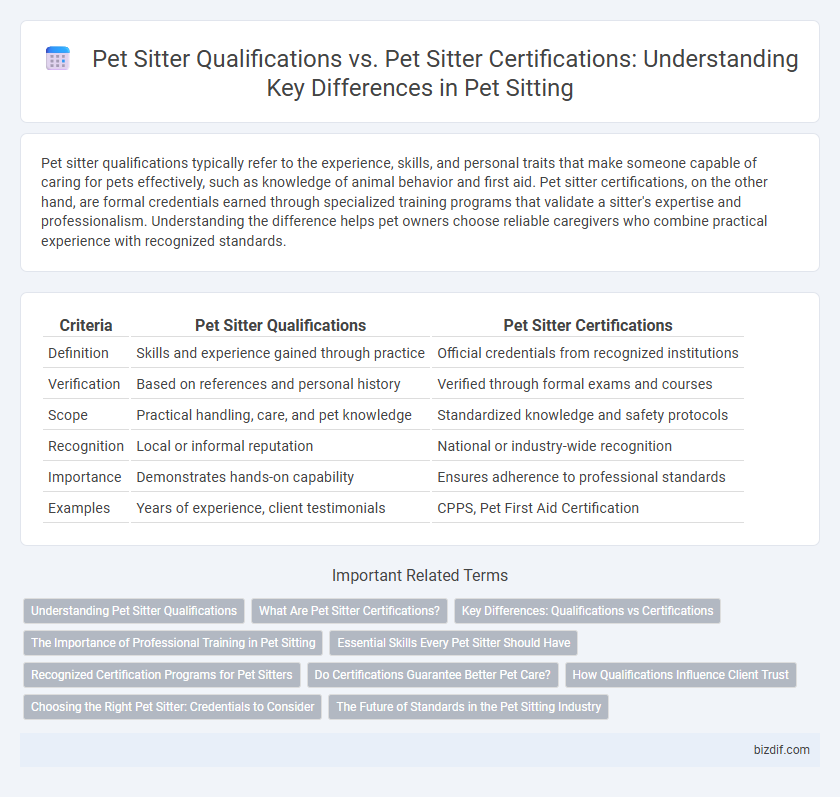 Pet Sitter Qualifications vs. Pet Sitter Certifications: Understanding Key Differences in Pet Sitting