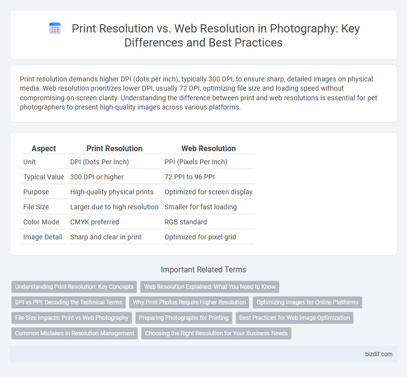 Print Resolution vs. Web Resolution in Photography: Key Differences and Best Practices