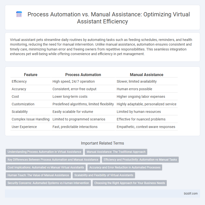 Process Automation vs. Manual Assistance: Optimizing Virtual Assistant Efficiency
