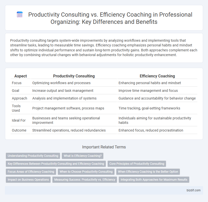 Productivity Consulting vs. Efficiency Coaching in Professional Organizing: Key Differences and Benefits