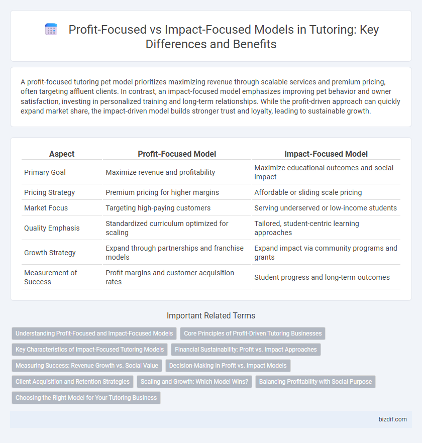 Profit-Focused vs Impact-Focused Models in Tutoring: Key Differences and Benefits