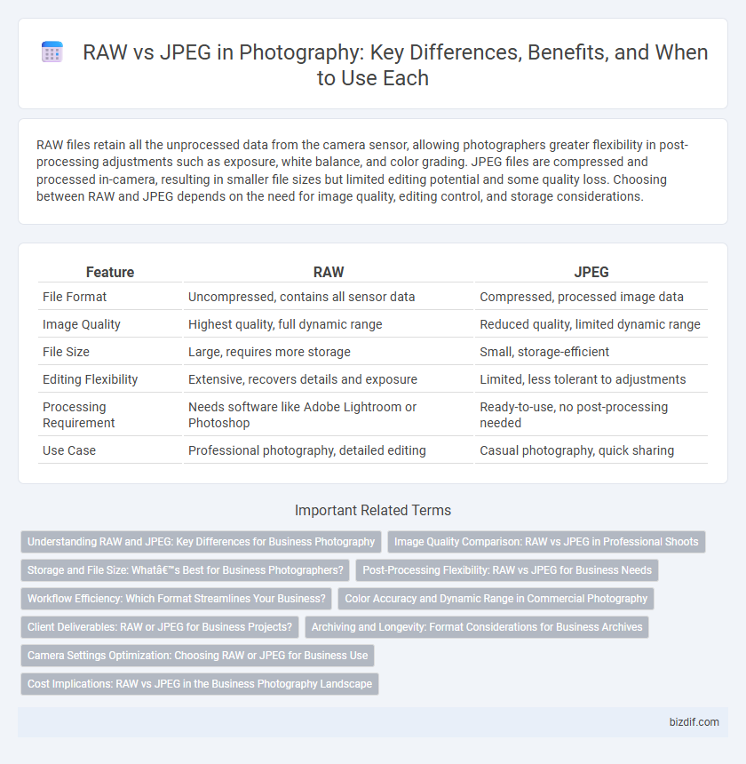 RAW vs JPEG in Photography: Key Differences, Benefits, and When to Use Each