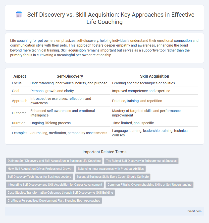 Self-Discovery vs. Skill Acquisition: Key Approaches in Effective Life Coaching