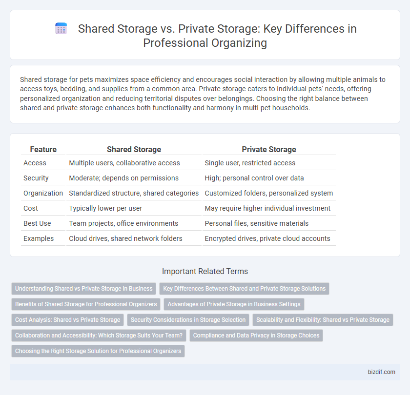 Shared Storage vs. Private Storage: Key Differences in Professional Organizing