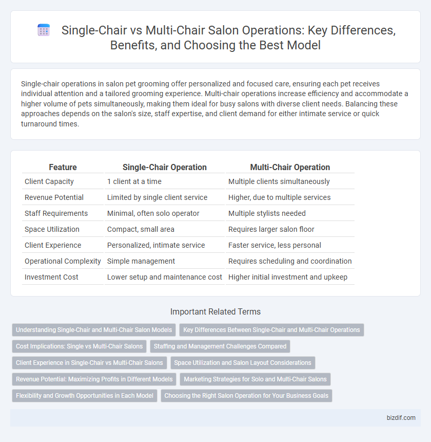 Single-Chair vs Multi-Chair Salon Operations: Key Differences, Benefits, and Choosing the Best Model