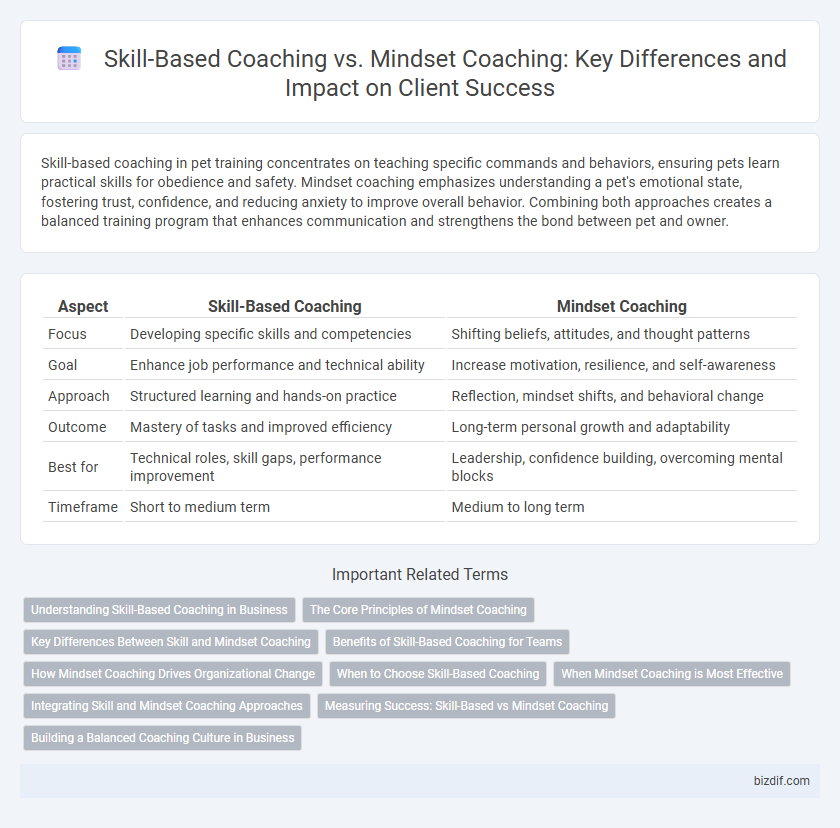 Skill-Based Coaching vs. Mindset Coaching: Key Differences and Impact on Client Success