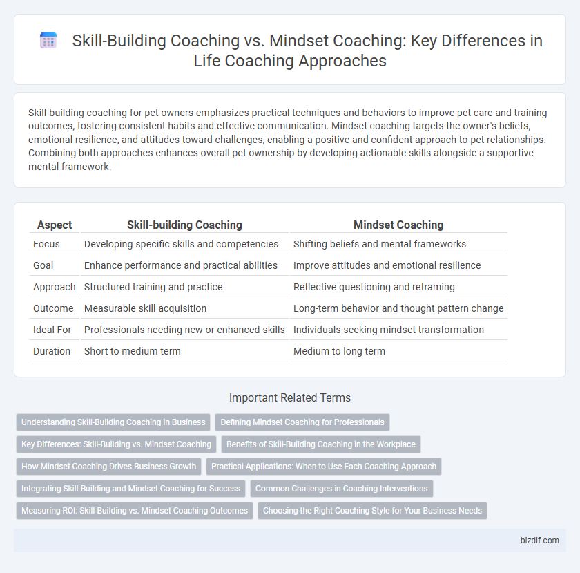 Skill-Building Coaching vs. Mindset Coaching: Key Differences in Life Coaching Approaches
