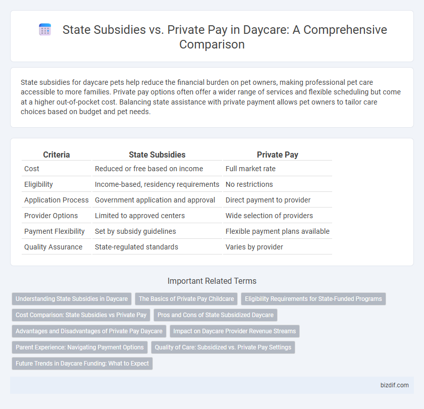 State Subsidies vs. Private Pay in Daycare: A Comprehensive Comparison