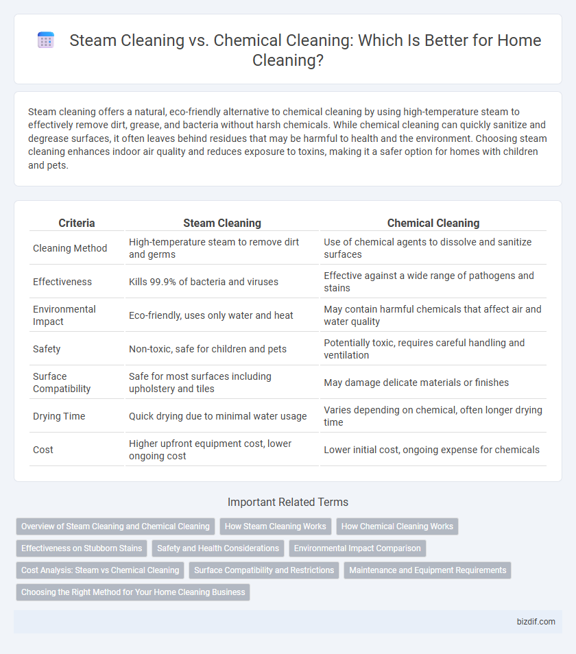 Steam Cleaning vs. Chemical Cleaning: Which Is Better for Home Cleaning?