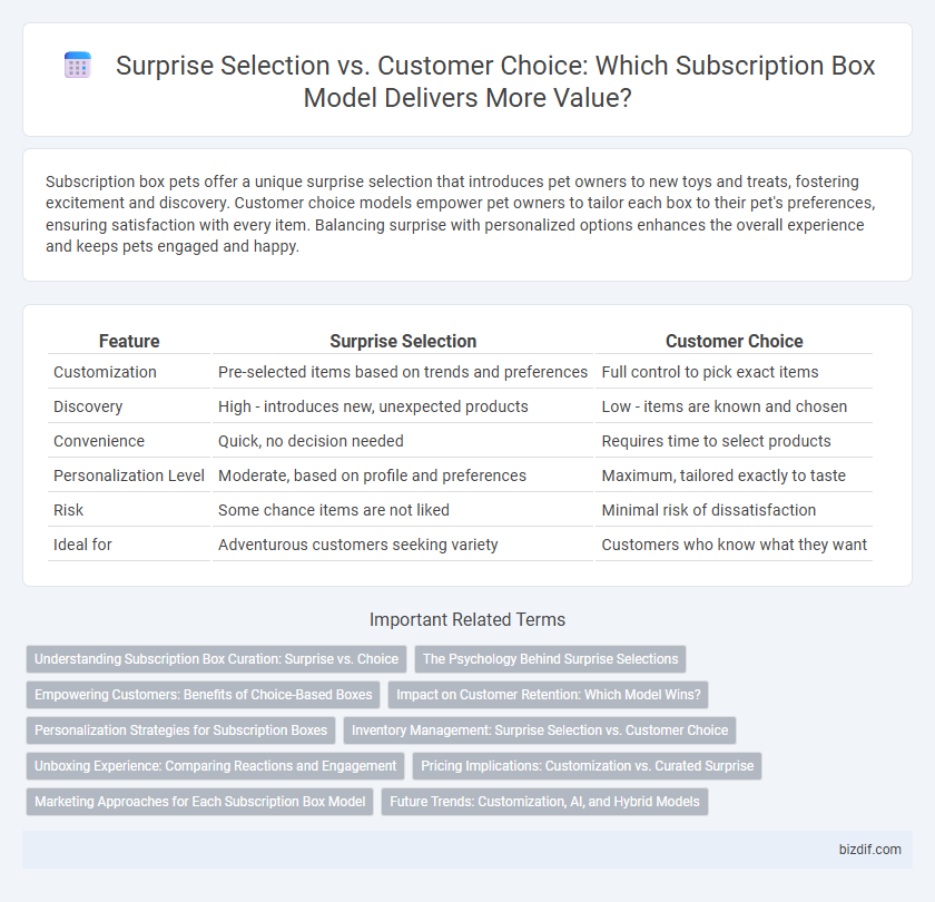 Surprise Selection vs. Customer Choice: Which Subscription Box Model Delivers More Value?