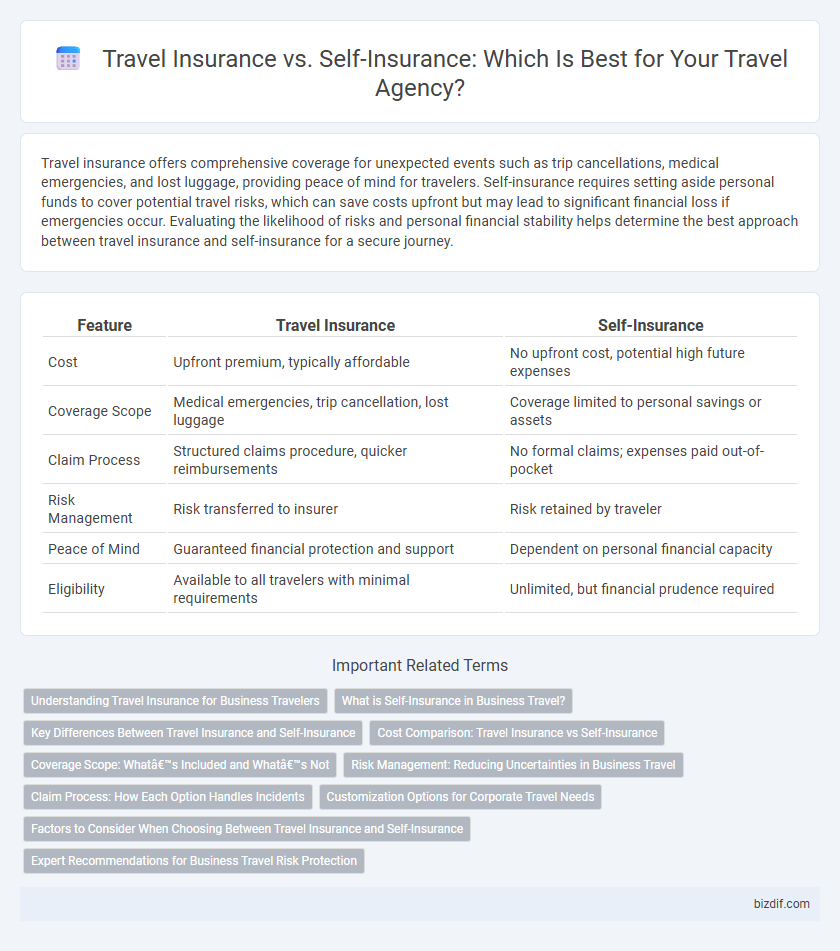 Travel Insurance vs. Self-Insurance: Which Is Best for Your Travel Agency?