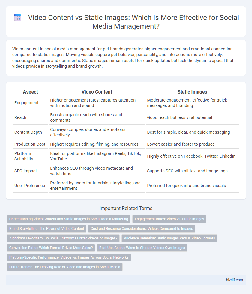 Video Content vs Static Images: Which Is More Effective for Social Media Management?