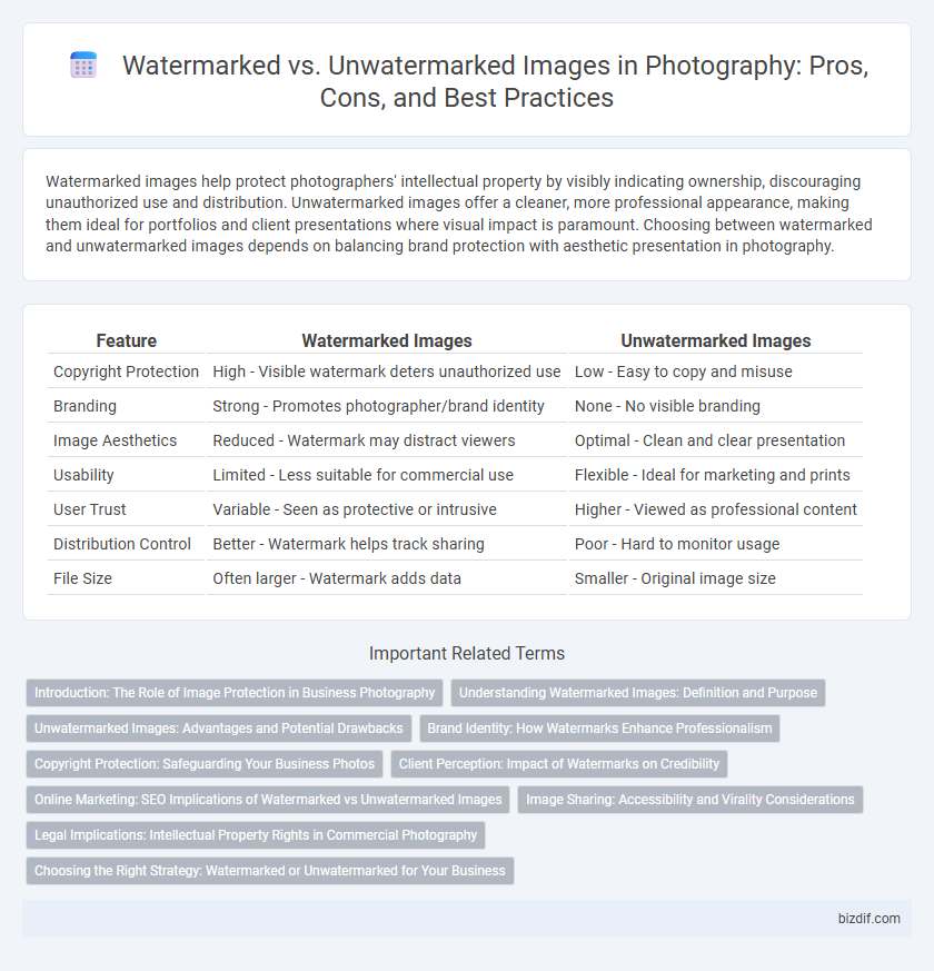 Watermarked vs. Unwatermarked Images in Photography: Pros, Cons, and Best Practices