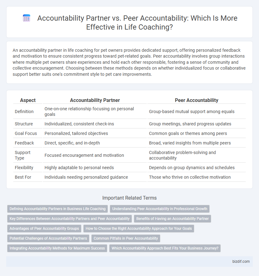 Accountability Partner vs. Peer Accountability: Which Is More Effective in Life Coaching?