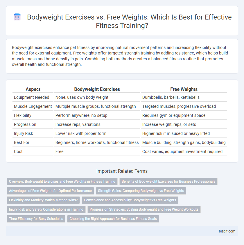 Bodyweight Exercises vs. Free Weights: Which Is Best for Effective Fitness Training?