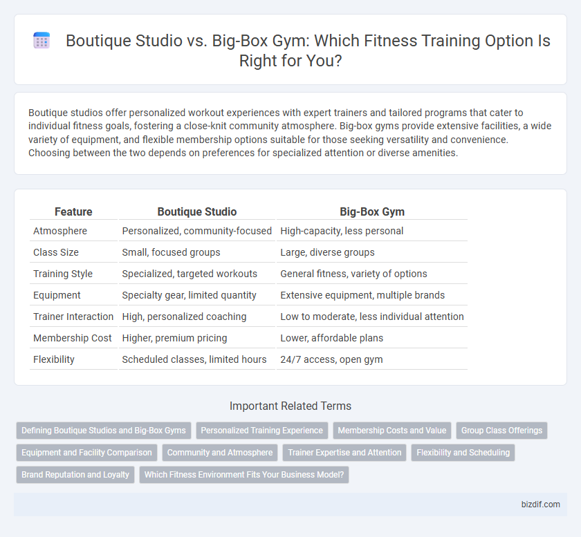 Boutique Studio vs. Big-Box Gym: Which Fitness Training Option Is Right for You?