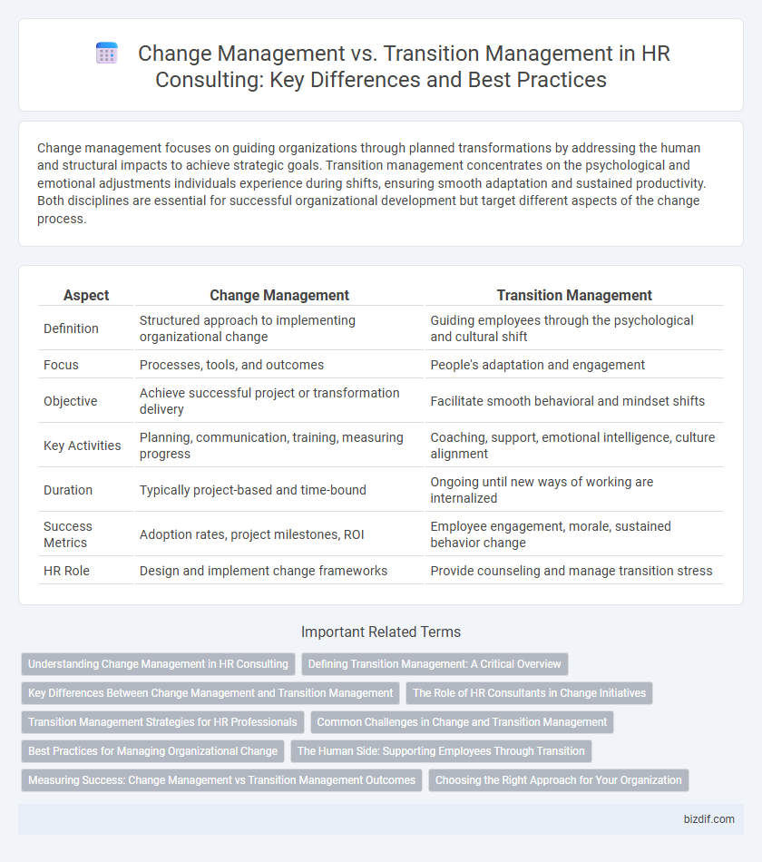 Change Management vs. Transition Management in HR Consulting: Key Differences and Best Practices