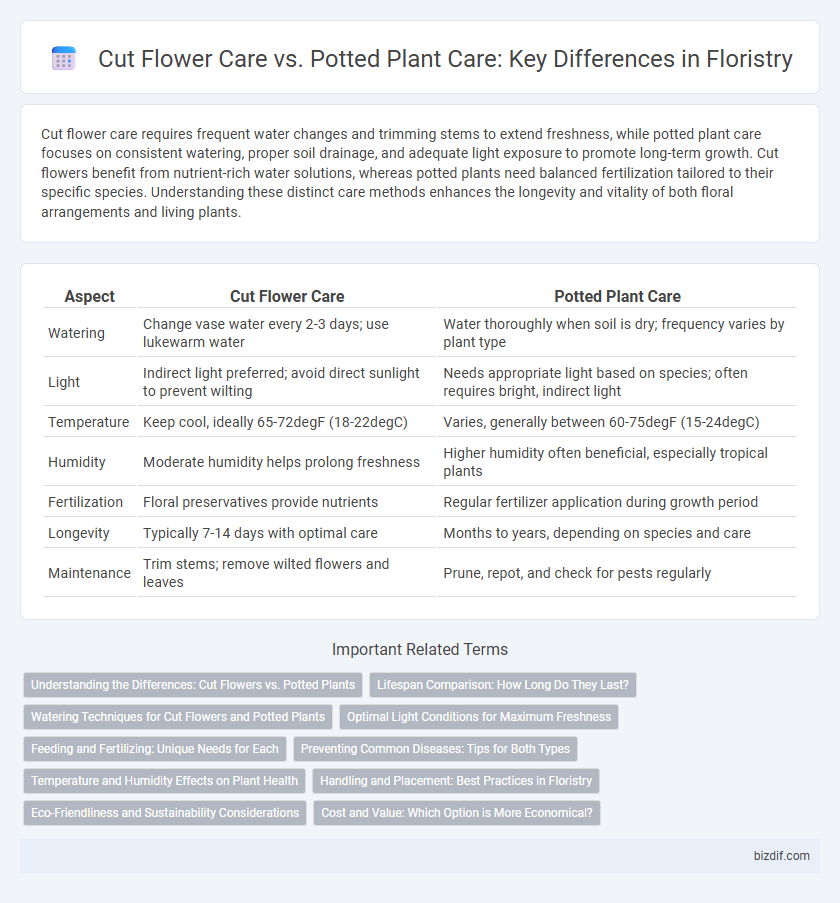 Cut Flower Care vs. Potted Plant Care: Key Differences in Floristry