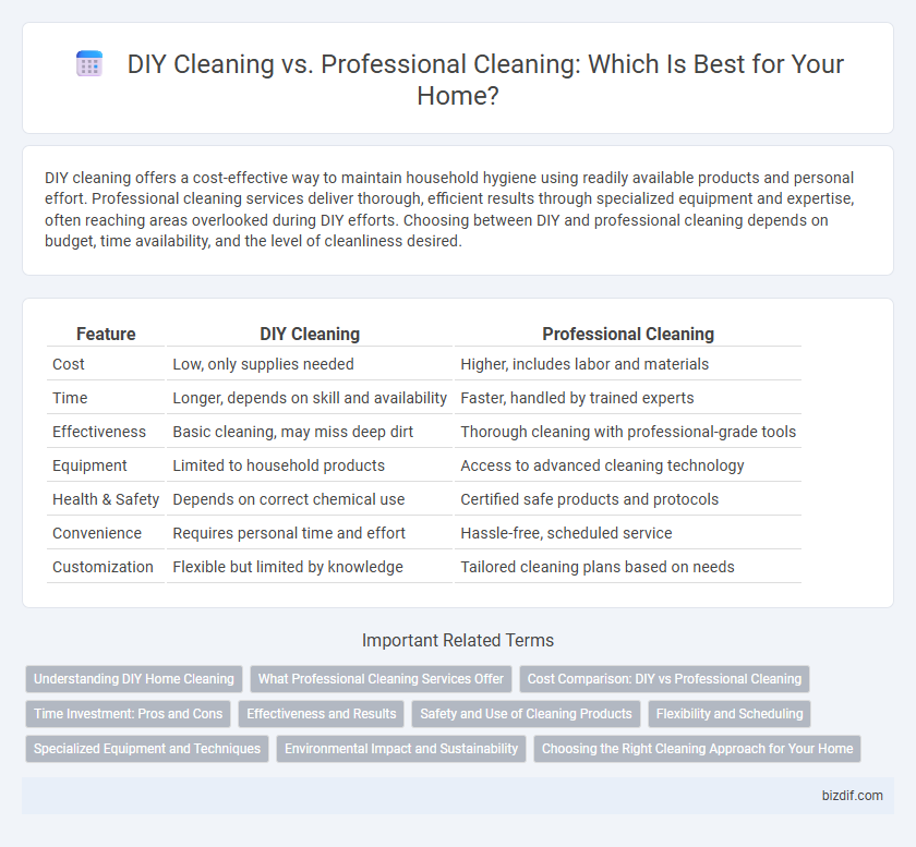 DIY Cleaning vs. Professional Cleaning: Which Is Best for Your Home?