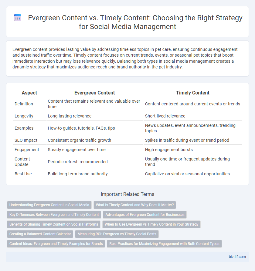 Evergreen Content vs. Timely Content: Choosing the Right Strategy for Social Media Management