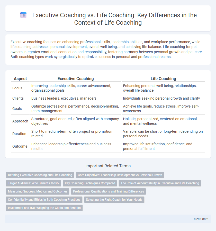 Executive Coaching vs. Life Coaching: Key Differences in the Context of Life Coaching