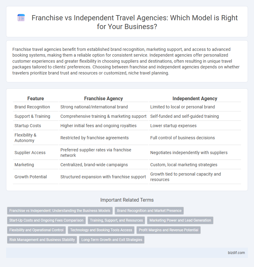 Franchise vs Independent Travel Agencies: Which Model is Right for Your Business?