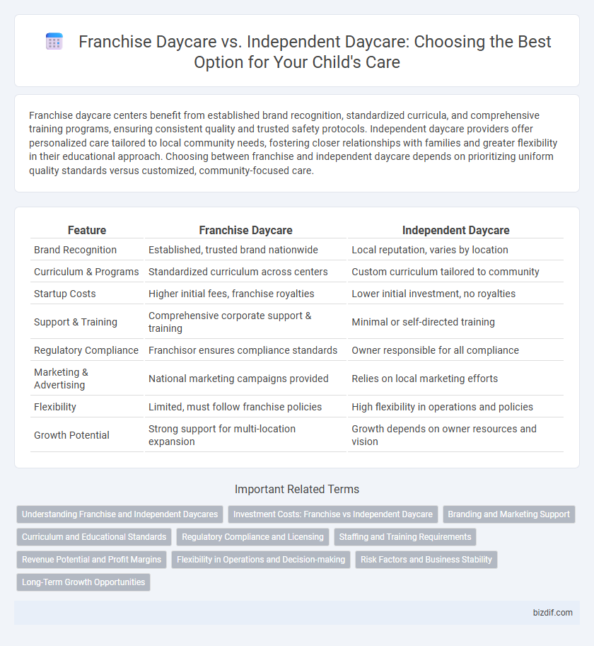 Franchise Daycare vs. Independent Daycare: Choosing the Best Option for Your Child's Care