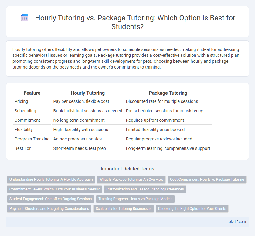 Hourly Tutoring vs. Package Tutoring: Which Option is Best for Students?