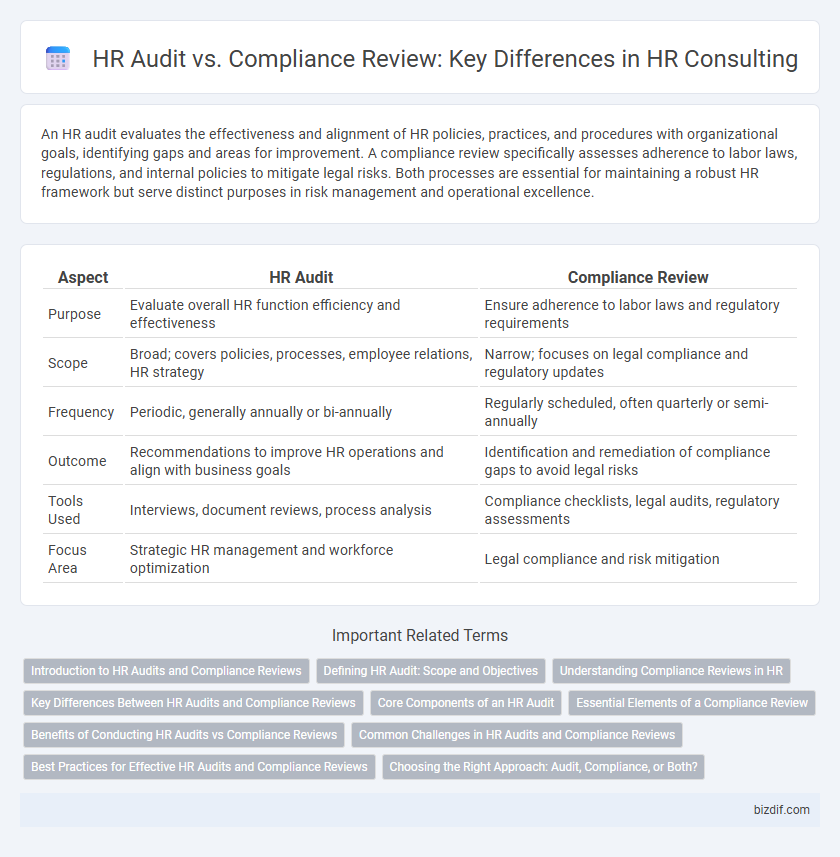 HR Audit vs. Compliance Review: Key Differences in HR Consulting