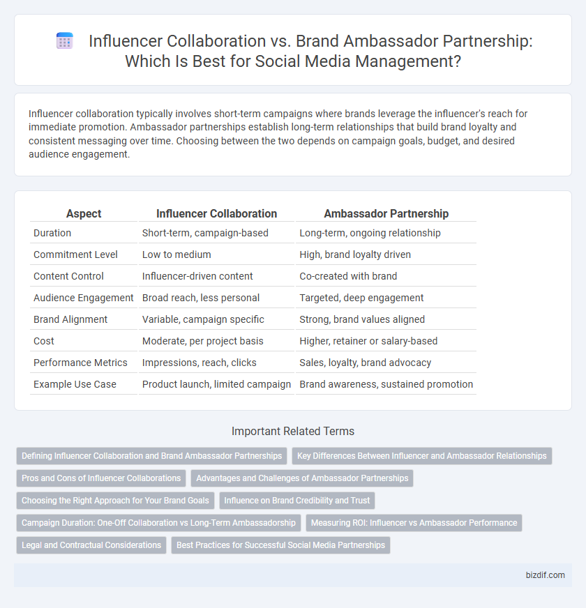 Influencer Collaboration vs. Brand Ambassador Partnership: Which Is Best for Social Media Management?