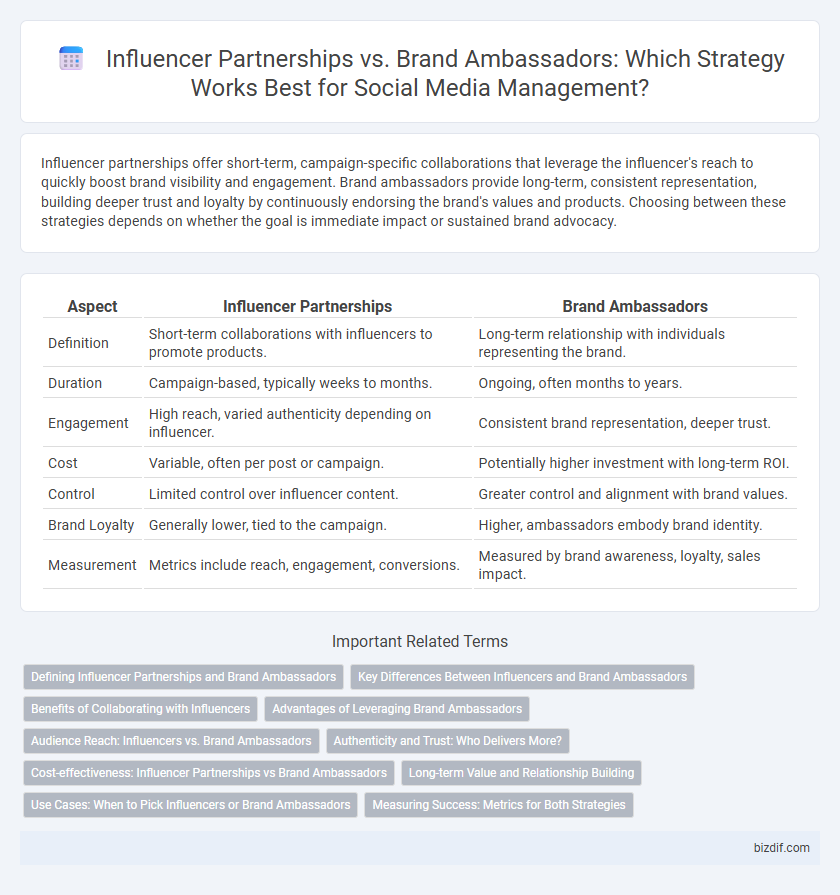 Influencer Partnerships vs. Brand Ambassadors: Which Strategy Works Best for Social Media Management?