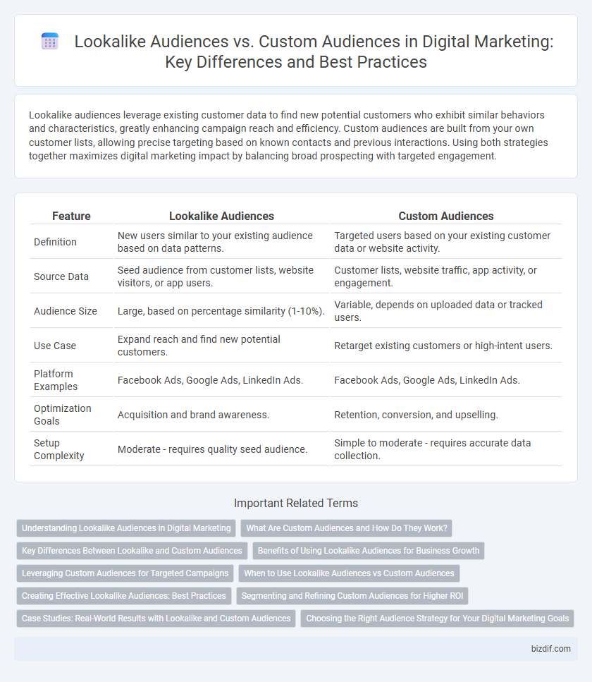 Lookalike Audiences vs. Custom Audiences in Digital Marketing: Key Differences and Best Practices