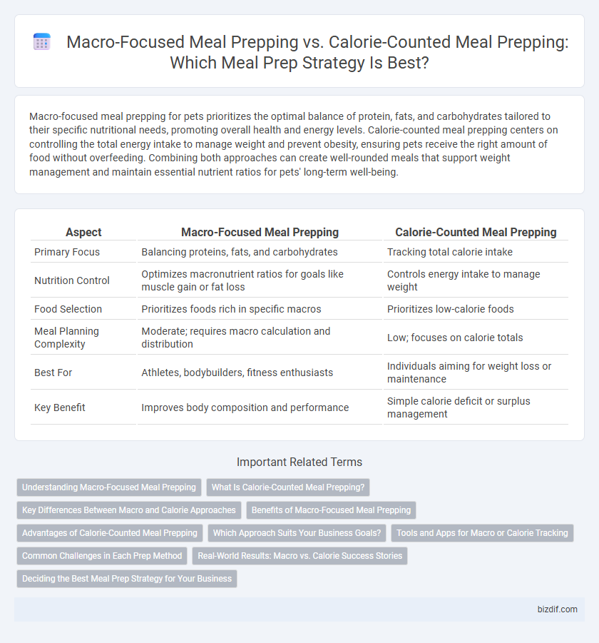 Macro-Focused Meal Prepping vs. Calorie-Counted Meal Prepping: Which Meal Prep Strategy Is Best?