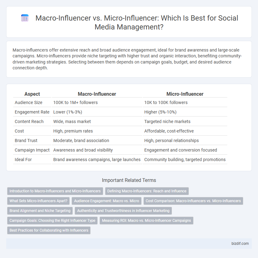 Macro-Influencer vs. Micro-Influencer: Which Is Best for Social Media Management?