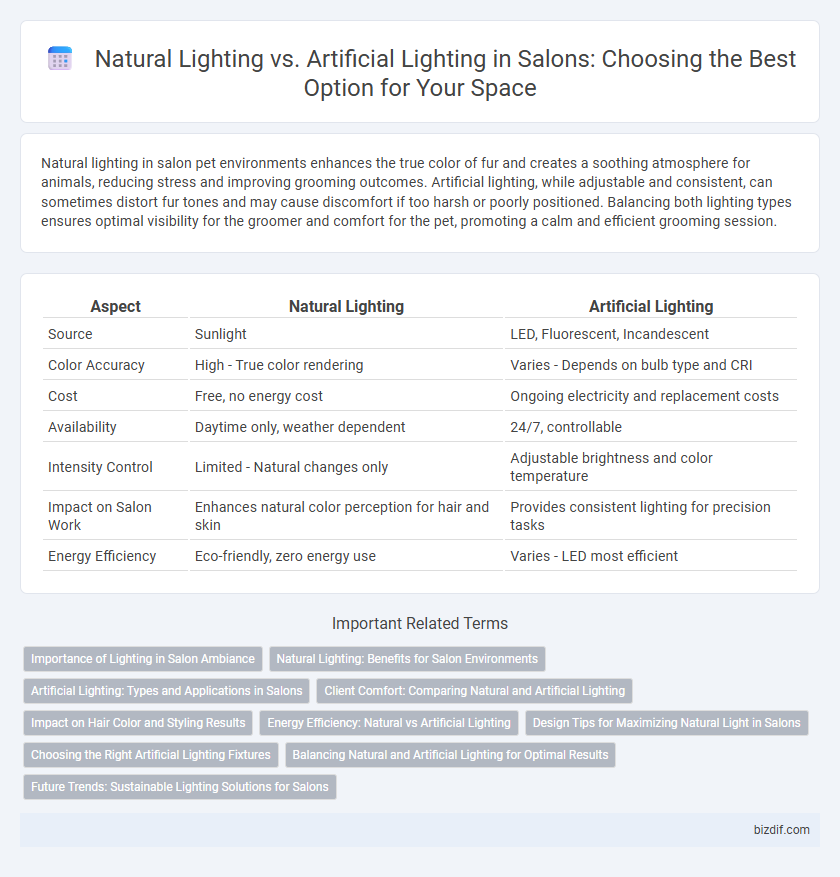 Natural Lighting vs. Artificial Lighting in Salons: Choosing the Best Option for Your Space