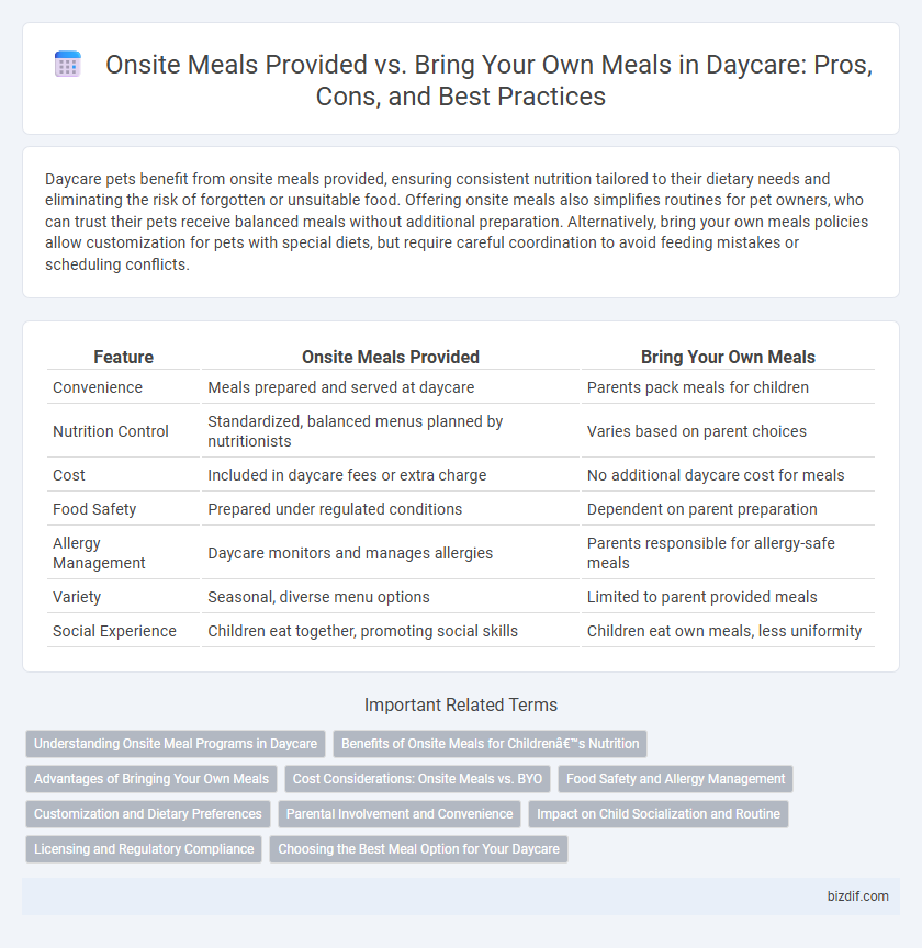Onsite Meals Provided vs. Bring Your Own Meals in Daycare: Pros, Cons, and Best Practices