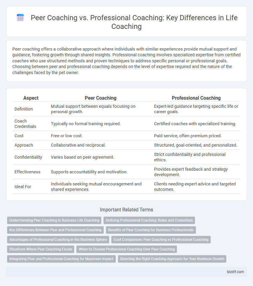 Peer Coaching vs. Professional Coaching: Key Differences in Life Coaching