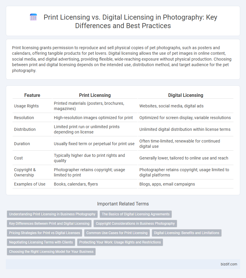 Print Licensing vs. Digital Licensing in Photography: Key Differences and Best Practices