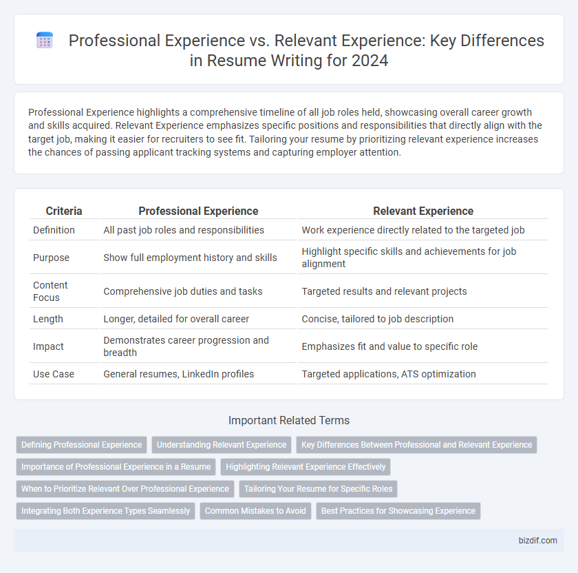 Professional Experience vs. Relevant Experience: Key Differences in Resume Writing for 2024