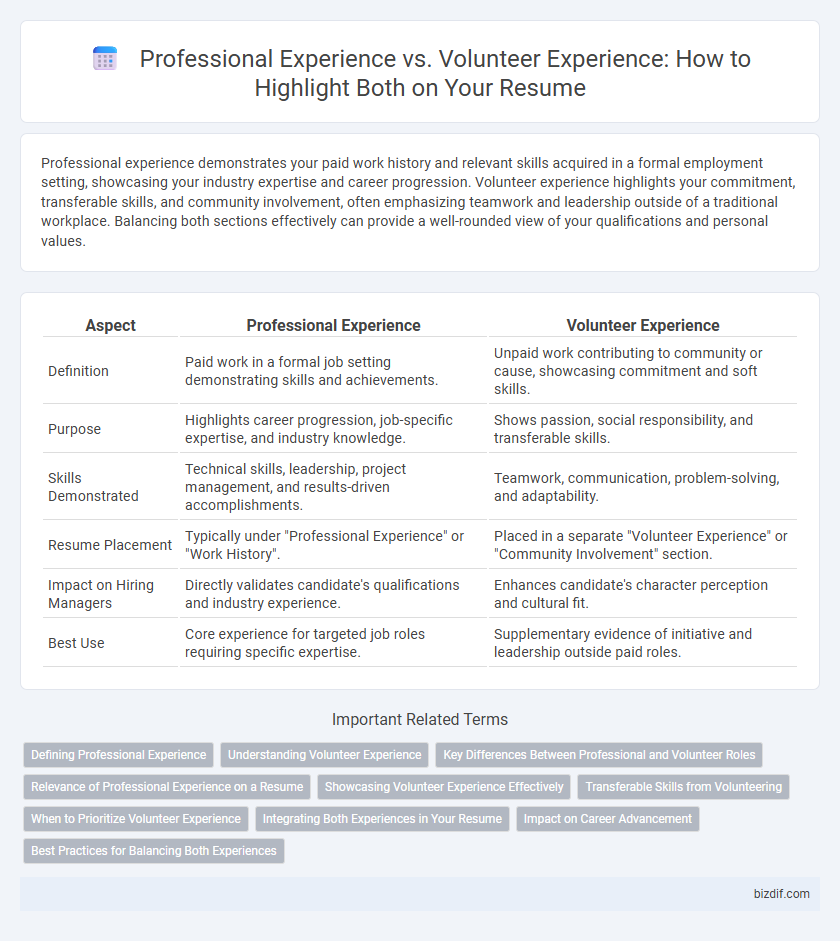 Professional Experience vs. Volunteer Experience: How to Highlight Both on Your Resume