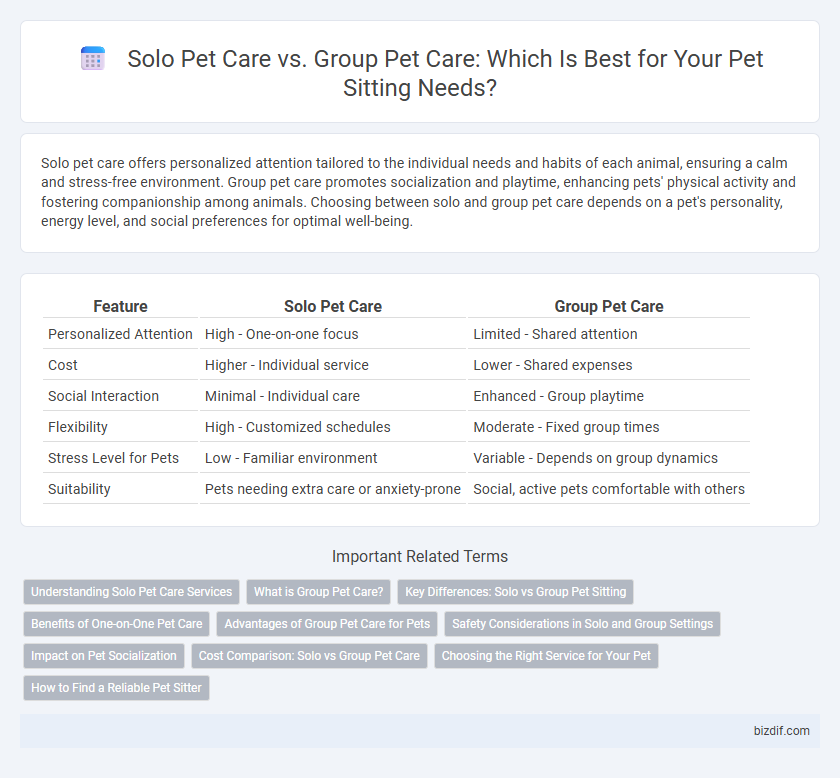 Solo Pet Care vs. Group Pet Care: Which Is Best for Your Pet Sitting Needs?