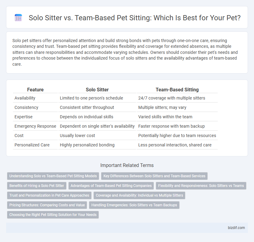 Solo Sitter vs. Team-Based Pet Sitting: Which Is Best for Your Pet?