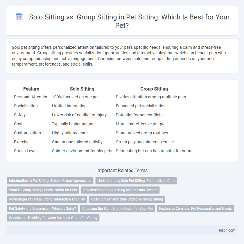 Solo Sitting vs. Group Sitting in Pet Sitting: Which Is Best for Your Pet?