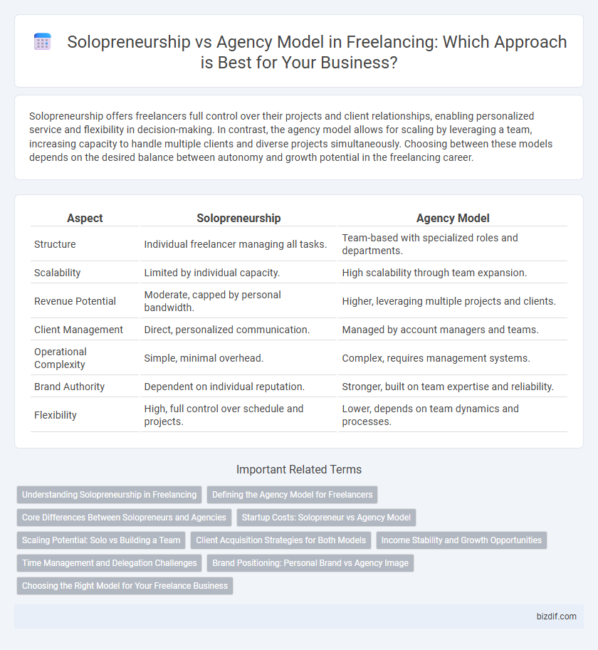 Solopreneurship vs Agency Model in Freelancing: Which Approach is Best for Your Business?