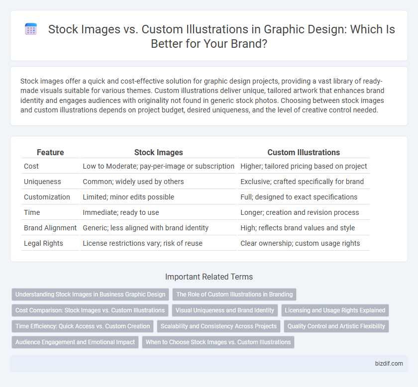 Stock Images vs. Custom Illustrations in Graphic Design: Which Is Better for Your Brand?