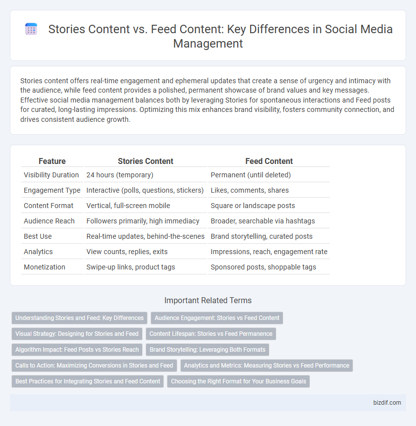 Stories Content vs. Feed Content: Key Differences in Social Media Management