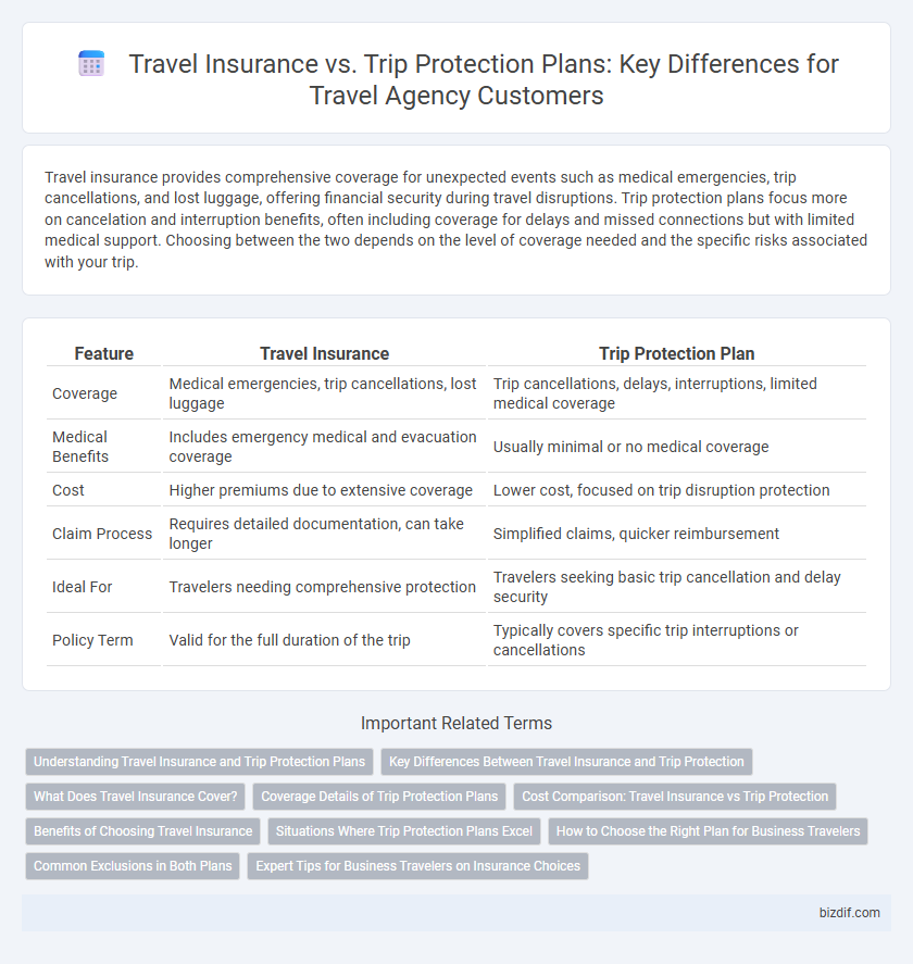 Travel Insurance vs. Trip Protection Plans: Key Differences for Travel Agency Customers
