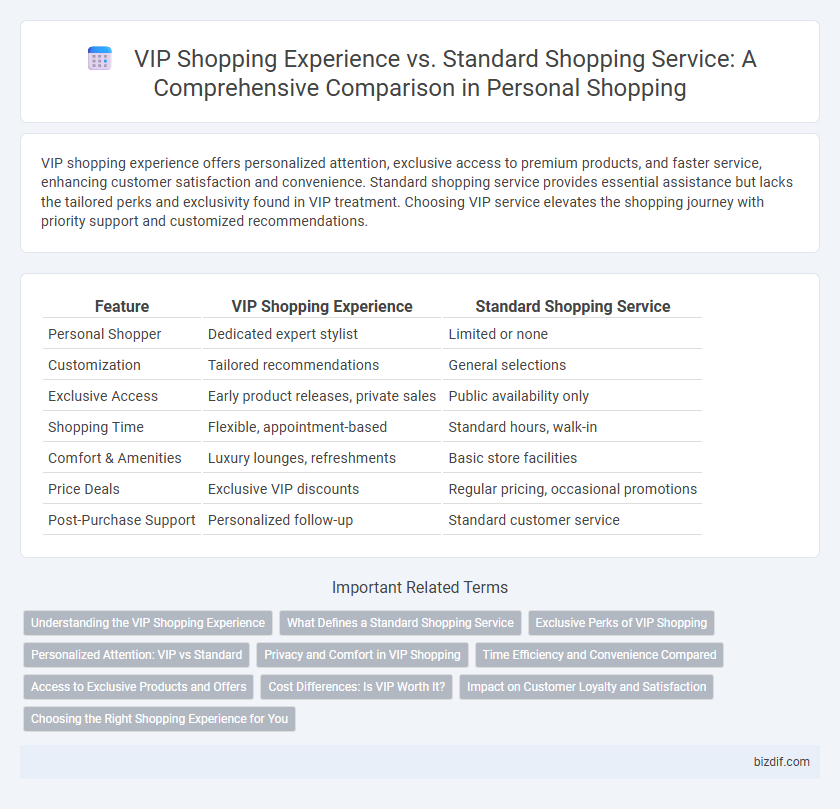 VIP Shopping Experience vs. Standard Shopping Service: A Comprehensive Comparison in Personal Shopping